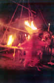 Fire Performance Fire Performance