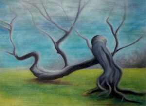 Crone Tree, Still Dancing - £70