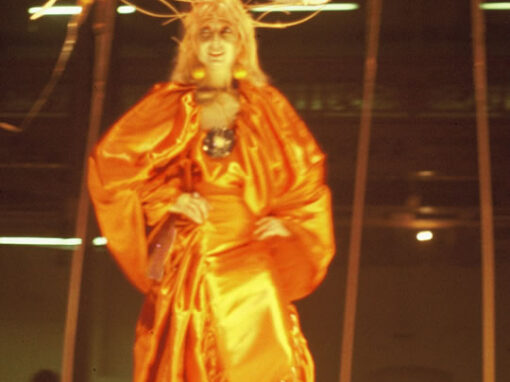 Miss Celestial Firmament