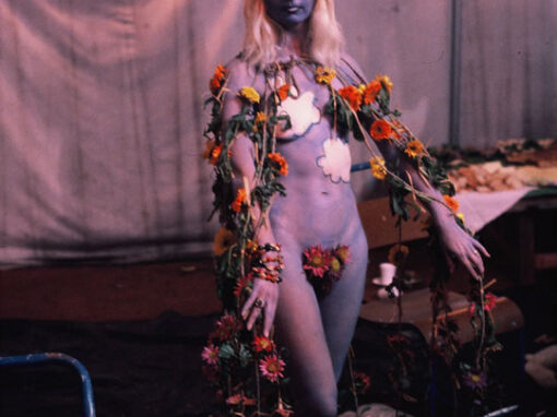Miss Earth